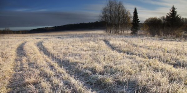 Минувшей ночью в Краснодарском крае наблюдались заморозки до -6 °С