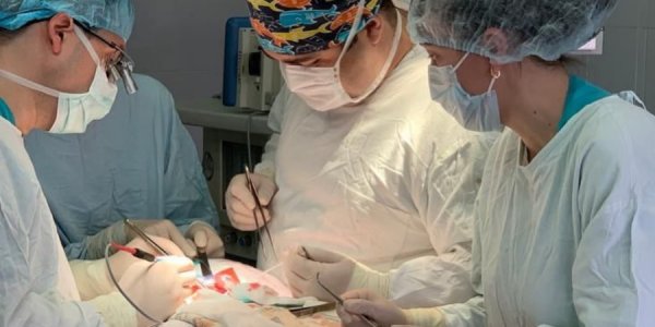 Врачи Новороссийска провели уникальную операцию, спасая пациента от инсульта
