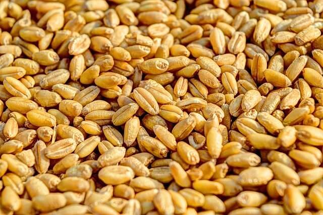 В Тихорецке поставщик зерна обманул двоих покупателей на 19 млн рублей