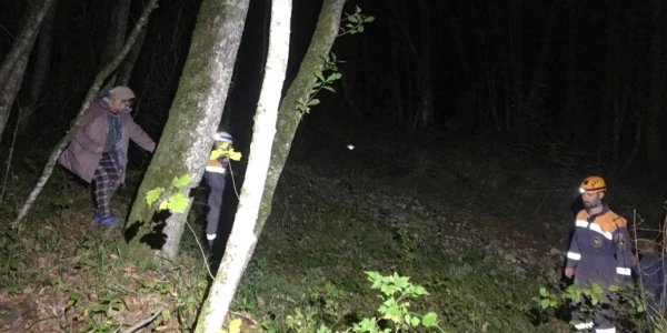 В Сочи в ночном лесу во время похода за грибами заблудились две туристки