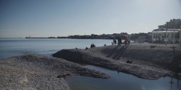 Активисты Новороссийска борются за проран из лимана в Черное море