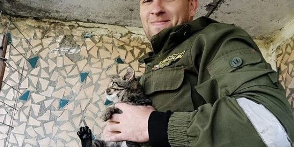 В станице Новопокровской спасатели достали из-под козырька крыши котенка