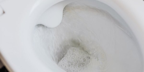 В Сочи из-за споров о чистоте общественного туалета произошла массовая драка