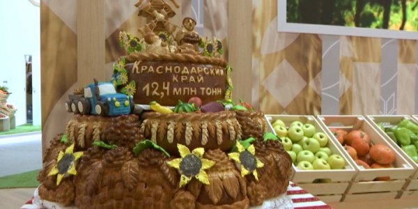 Кубань представила один из крупнейших стендов на выставке «Золотая осень»