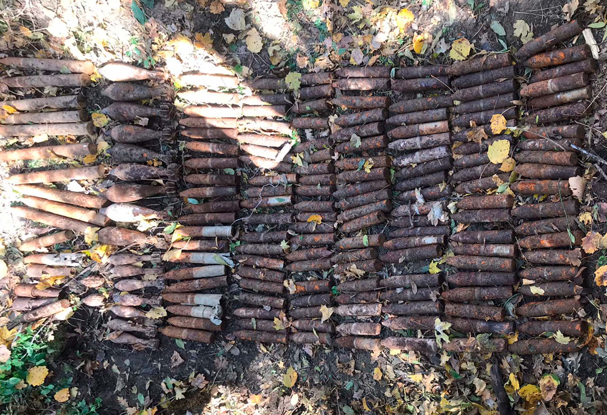 В лесу Крымского района грибник нашел 174 боеприпаса времен войны