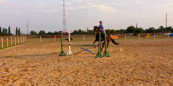 В Красноармейском районе пройдет краевой турнир по конному троеборью