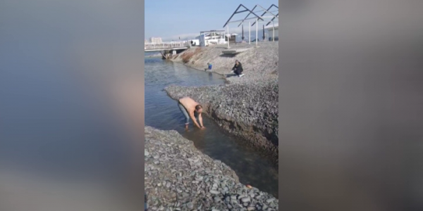 В Новороссийске экоактивисты расчищают речной канал, чтобы мальки попали в море