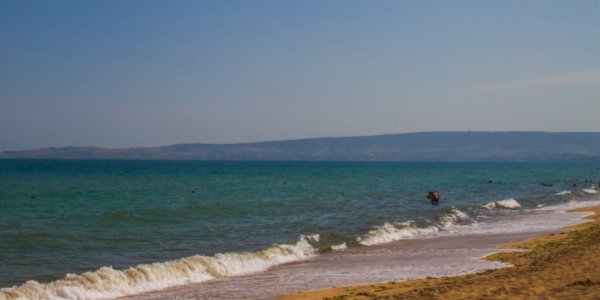 В Азовское море выпустили 100 тыс. мальков сазана