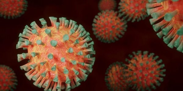 На юге Франции зафиксировали новый штамм коронавируса