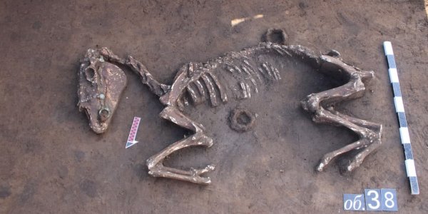 В Славянском районе при строительстве дороги нашли погребальные урны 11-12 веков