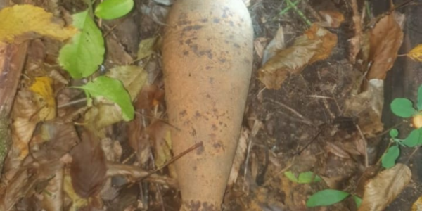 В Апшеронске грибники нашли в лесу мину времен войны