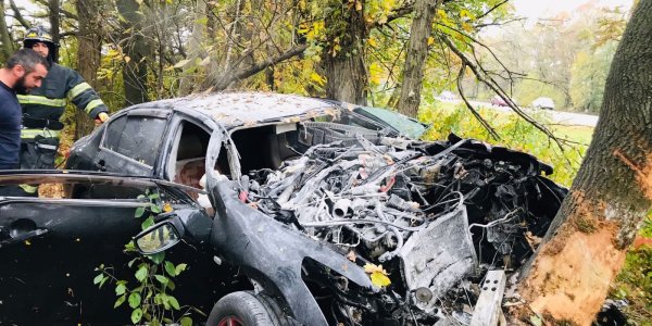 В Краснодаре иномарка вылетела с дороги и врезалась в дерево, водитель погиб