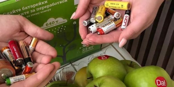 Анапские экологи меняют яблоки на разряженные батарейки