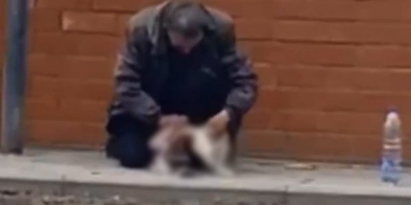 В Краснодарском крае мужчина на улице снял шкуру с кота