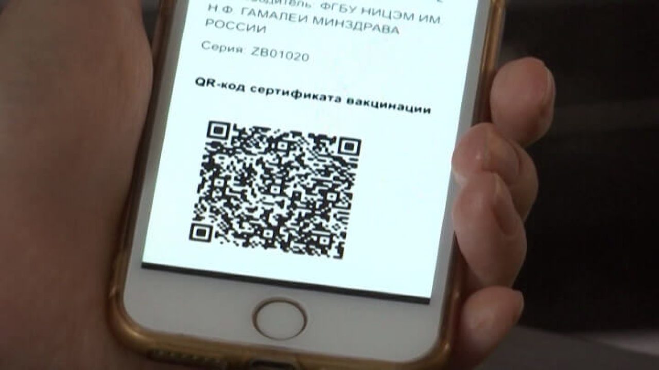 На курортах Кубани большинство заведений проверяют QR-код на входе у  посетителей - 2 ноября, 2021 Все новости, Материалы, Общество «Кубань 24»