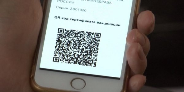 В России могут ввести QR-коды для всех прививок и вакцинаций