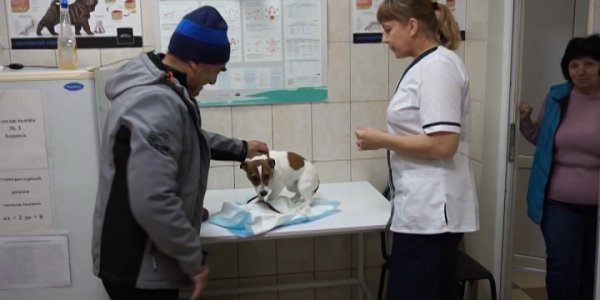 В Сочи провели вакцинацию диких животных от бешенства