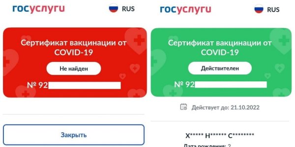 QR-коды о вакцинации от коронавируса обнулились из-за сбоя на «Госуслугах»