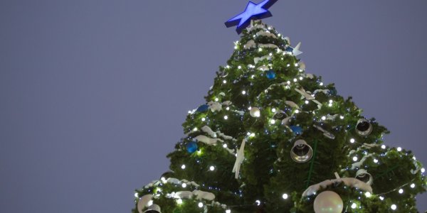 На улицах Краснодара установят девять новогодних елок