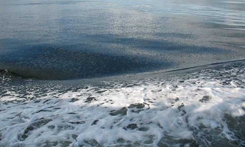 В трюме затонувшего в Белом море катера из Геленджика нашли тела двух человек
