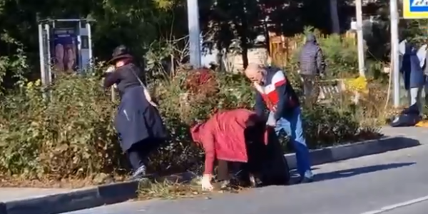 Жители Анапы во время субботника убрали опавшую листву в скверах и парках