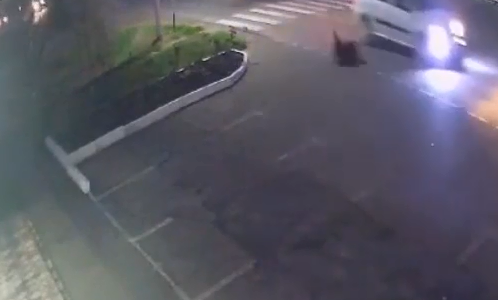 На Кубани пьяный водитель сбил подростка на пешеходной переходе и скрылся