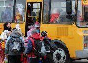 Мэрия Краснодара ответила на просьбы жителей вернуть школьный подвоз