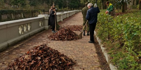 В Сочи во время общегородского субботника собрали 60 тонн мусора