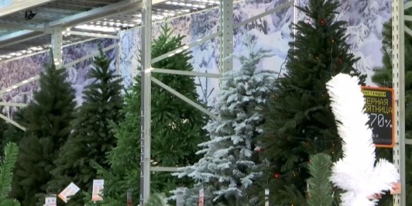 В России подорожали елки, себестоимость оливье и вызов Деда Мороза на дом