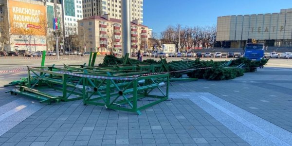 В Краснодаре начали установку главной городской новогодней елки