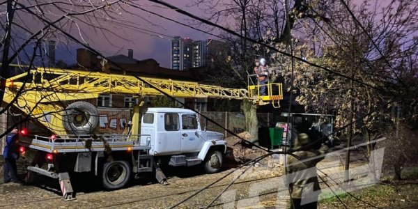 В Краснодаре из-за упавших деревьев было прервано движение трамваев