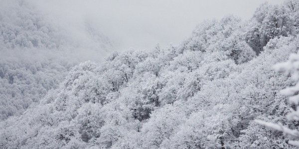В Краснодарском крае продлили штормовое предупреждение о лавиноопасности в горах