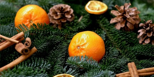 Как правильно выбирать мандарины: аромат Нового Года