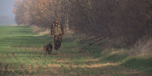 Как охотники Ейского района тренируют своих собак