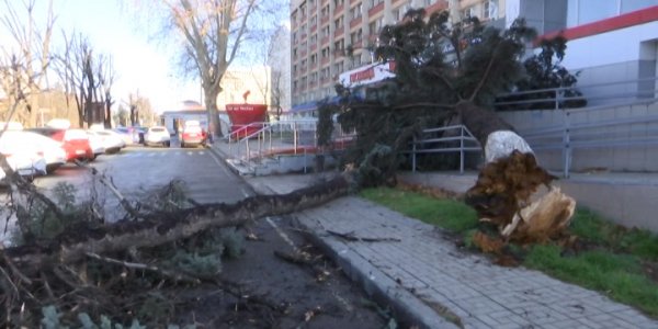 Непогоду на Кубань принес циклон «Бенедикт» из Турции