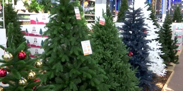На Кубани в декабре новогодние елки подорожали на 5-30%