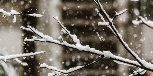 Штормовое предупреждение о мокром снеге и гололеде объявили на Кубани