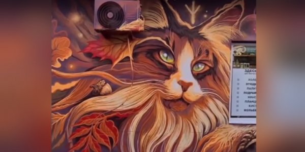 В Краснодаре стену художественного магазина украсило новое «кошачье» граффити