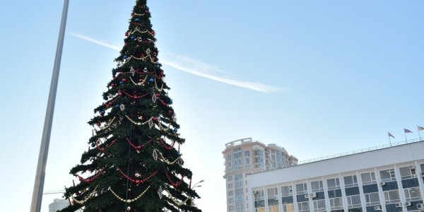 В центре Краснодара установили и украсили 22-метровую новогоднюю елку
