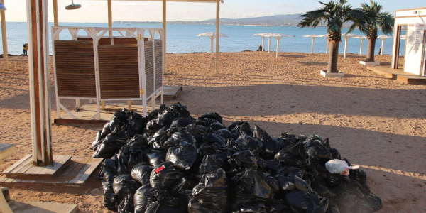 С пляжей Геленджика убрали 55 тонн водорослей