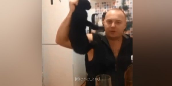В Краснодаре пьяный блогер ради лайков хотел зарезать своего кота