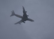 Из-за тумана и низкой облачности отменены большинство рейсов в аэропорту Сочи