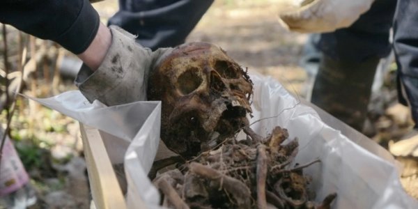 В Динском районе при строительстве бассейна нашли скелет человека