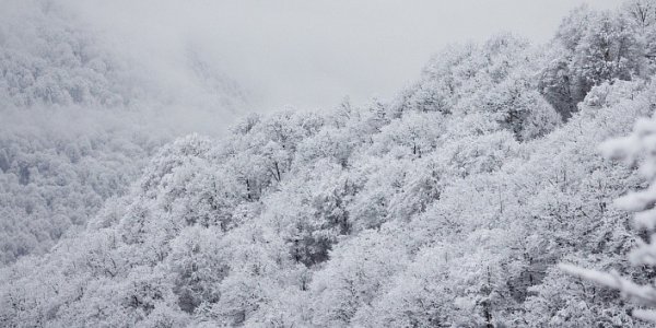 В Сочи продлили действие штормового предупреждения о снегопадах