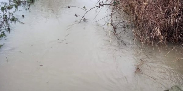 В Анапе после подтопления организовали расчистку русла реки