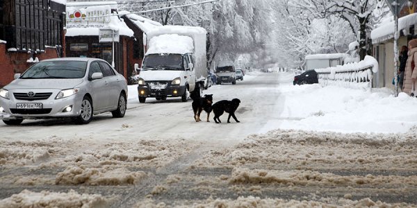 На Кубани выпало рекордное количество снега
