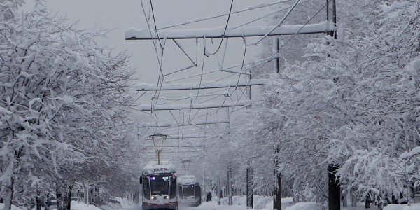 В Краснодаре трамваи почти час стояли из-за отключения электричества