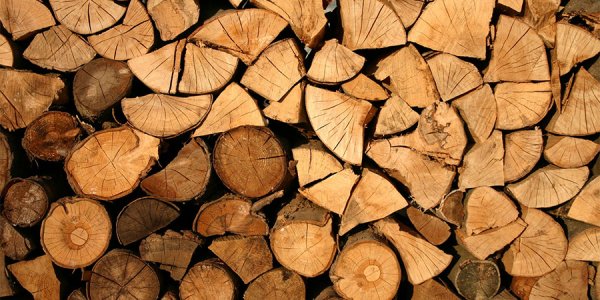 Житель Туапсинского района незаконно нарубил дров на 5 млн рублей