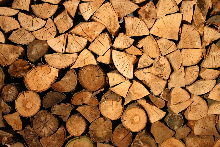 Житель Туапсинского района незаконно нарубил дров на 5 млн рублей