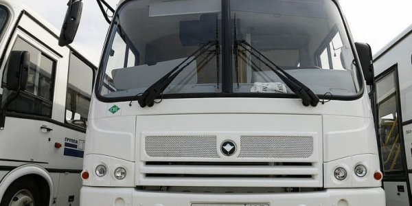 Водитель автобуса в Новороссийске высадил пятерых детей на трассе в непогоду